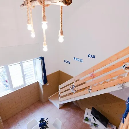 Blue Angel Oak - Bari