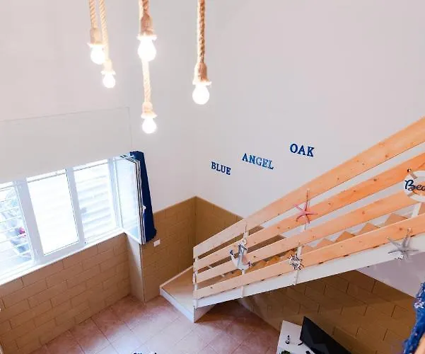 Blue Angel Oak - Bari