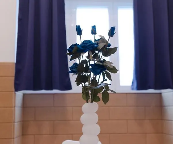 Blue Angel Oak - Appartamento *